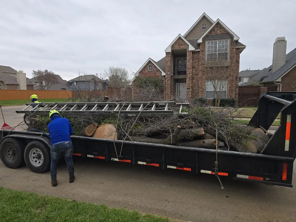 Expert Tree Fertilization with proper safety equipment in Benson